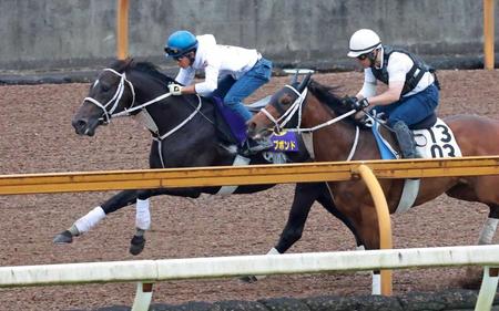 【宝塚記念】ディープボンド　パワフルな動きで６Ｆ７９秒２と猛時計　コンビ２戦目となる幸「やっぱり京都は合いますね」