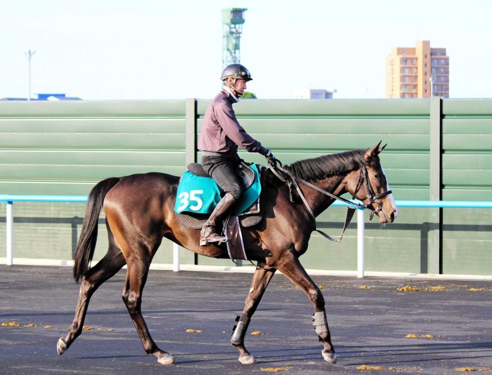 　函館競馬場で調整する１５日函館５Ｒ新馬戦出走のヴーレヴー