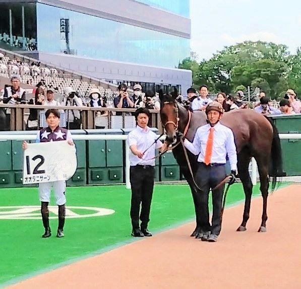 　日曜東京３Ｒで初勝利を挙げたオオタニサーン