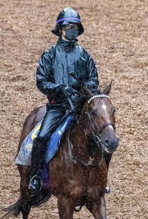 　運動するドウデュース（撮影・石湯恒介）