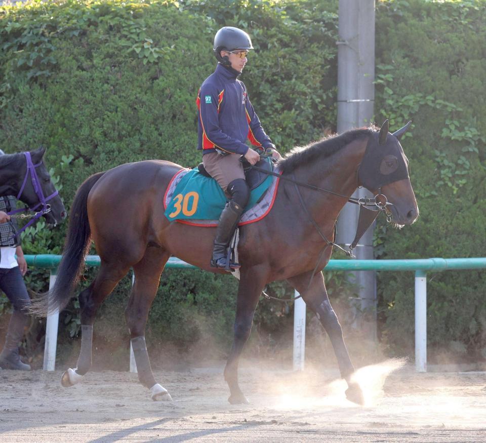 　初陣を迎える良血馬プリモシークエンス