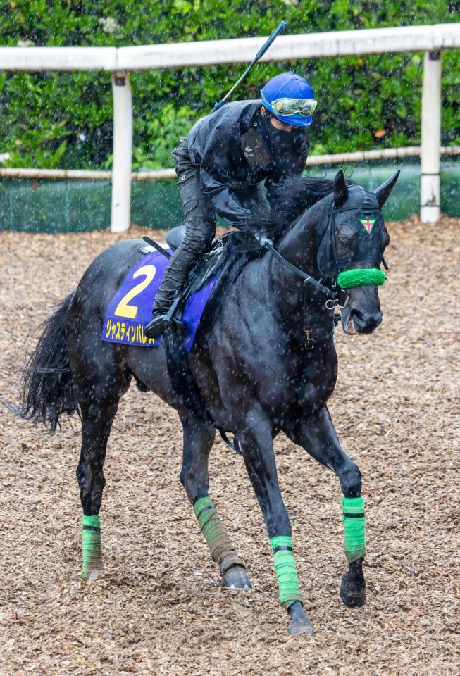 　坂路を駆け上がるジャスティンパレス（撮影・石湯恒介）