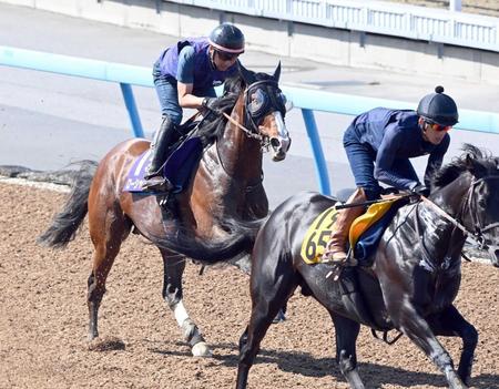 　併せ馬で好時計をマークしたローシャムパーク（左）＝撮影・園田高夫