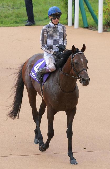 競馬引退」がトレンド入り 史上最多得票の1番人気ドウデュース
