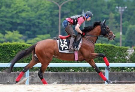 　大駆けを狙うログラール