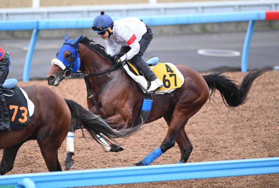 　松岡を背に軽快な動きを披露したキングズパレス（撮影・園田高夫）