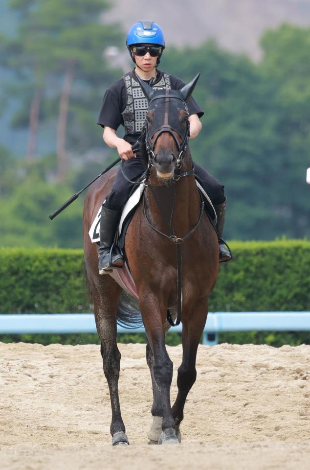 　無傷５連勝でタイトル奪取を狙うヤマニンウルス