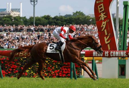 ダービー馬ダノンデサイルは菊花賞直行　安田翔師「今後のローテを見据えたときに直行がベスト」