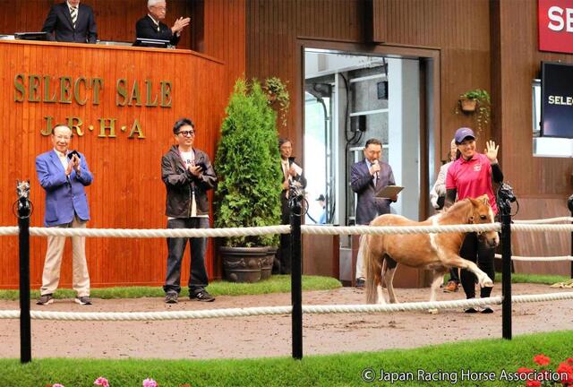 セレクトセール24】藤田晋氏が初日に8億円超“爆買い”も5・9億円の