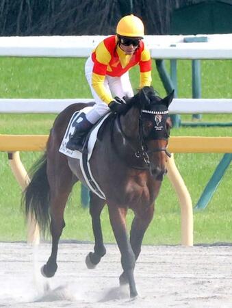 皐月賞馬ジャスティンミラノは菊花賞を見送り天皇賞・秋直行へ　友道師「距離適性も考えて」