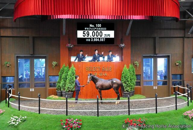 キタサンブラック＆レイデオロ セレクトセール24】1歳馬史上最高5・9憶円！キタサン