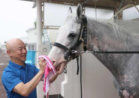 【函館記念】ハヤヤッコ元気いっぱい！ベテラン８歳馬が２度目の制覇目指す　ハンデ心配なし　国枝師「馬にヤル気がある」