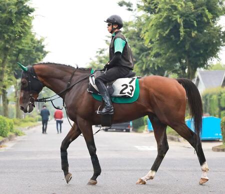 重賞初制覇を目指すサヴォーナ