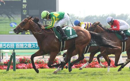 　函館２歳Ｓを勝利したサトノカルナバル（手前）