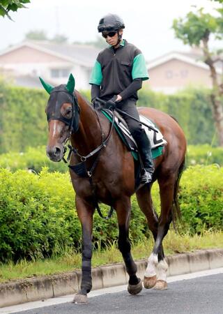 【函館＆小倉＆福島の危険な人気馬】サヴォーナ　函館１１Ｒ