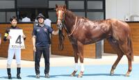 　デビュー戦を勝利したアスクシュタイン。左は北村友