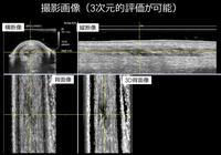 　ＵＴＣ画像＝提供・ＪＲＡ競走馬リハビリテーションセンター