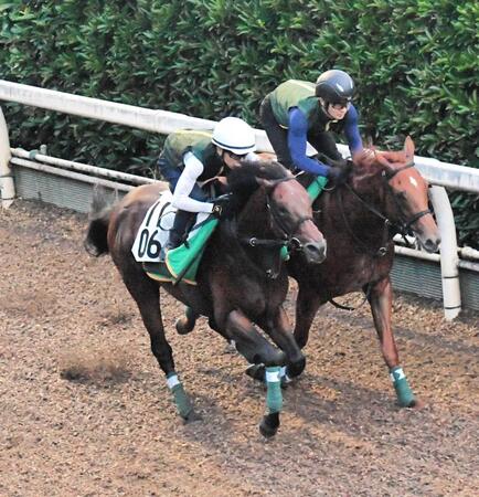 　栗東坂路で軽快な動きを披露したセオ（左）＝撮影・今井雅貴