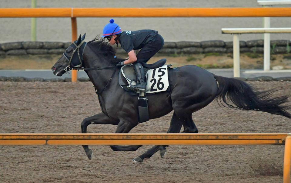 　田口を背に順調な仕上がりを示したニホンピロキーフ（撮影・石湯恒介）