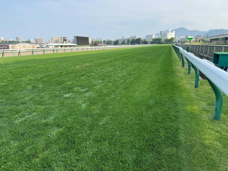 　開幕週を迎えた札幌競馬場の芝コース