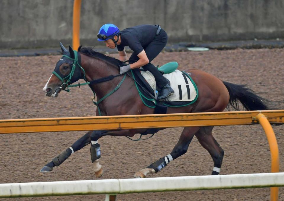 　横山典を背に栗東ＣＷで軽快な動きを見せるアルナシーム＝撮影・石湯恒介