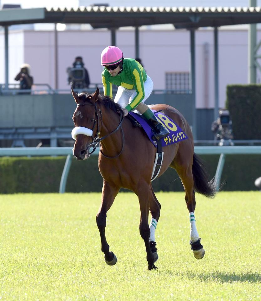 カラマティアノスの近親サトノレイナス＝21年桜花賞２着時