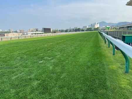 　札幌競馬場