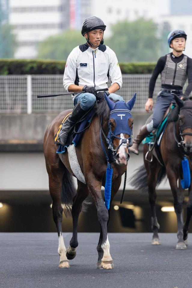 　初タイトルを目指し、札幌競馬場で調整するボンドガール