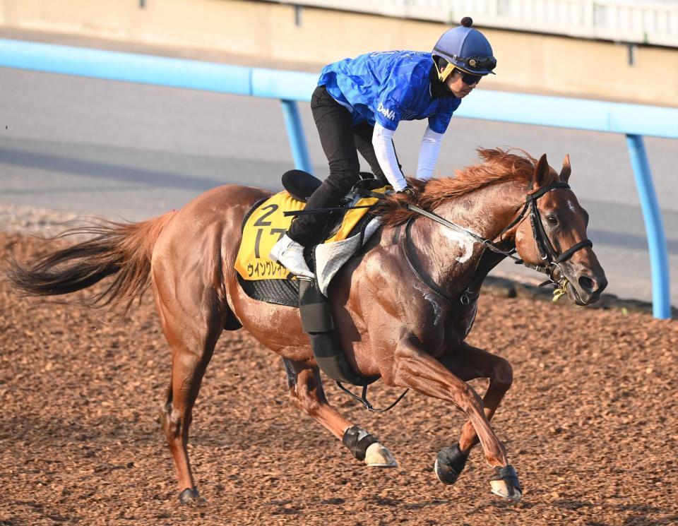 　松岡を背に力強い動きを見せたウイングレイテスト（撮影・園田高夫）