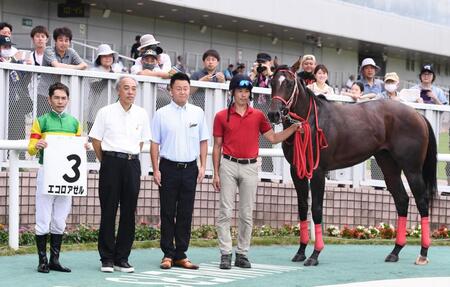 新潟で暑熱対策スタート　森秀師「馬にも人にもいい、夏の間はずっとこれで」