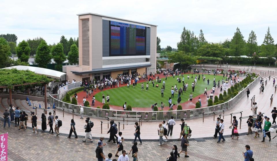 　長蛇の列ができたパドックウォーク（撮影・園田高夫）