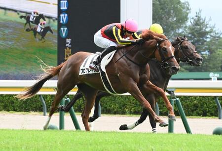 　新馬戦を制したプロクレイア（撮影・園田高夫）