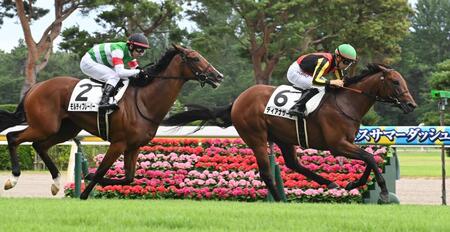 【新馬戦】ディアナザール　期待馬が快勝　斉藤崇師「手応えに余裕」