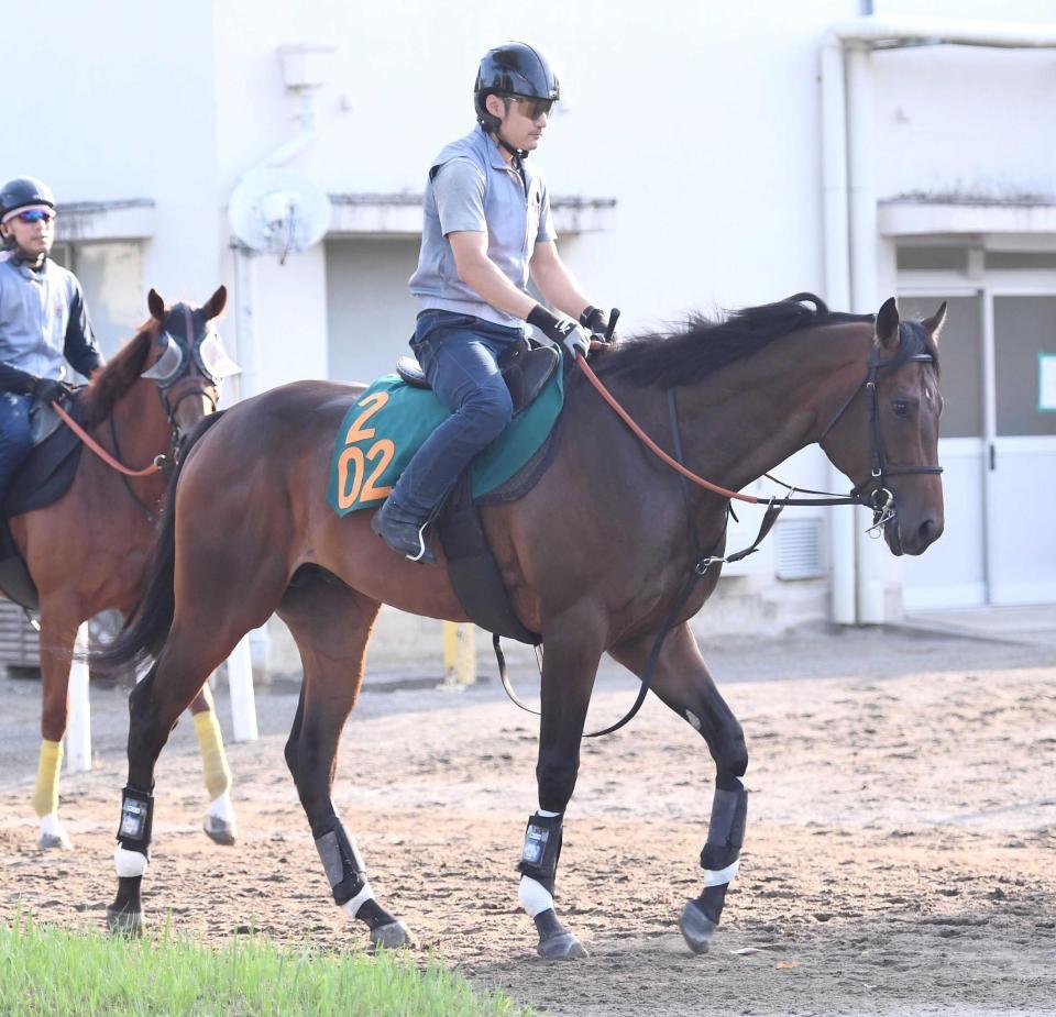 　ジャナドリア