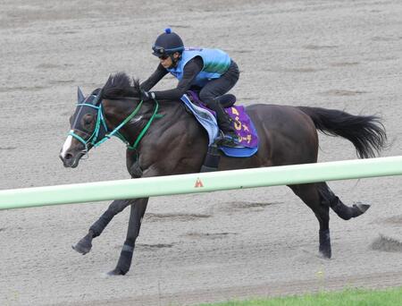 　函館ダートでパワフルな動きを披露したドゥラエレーデ（撮影・西岡正）