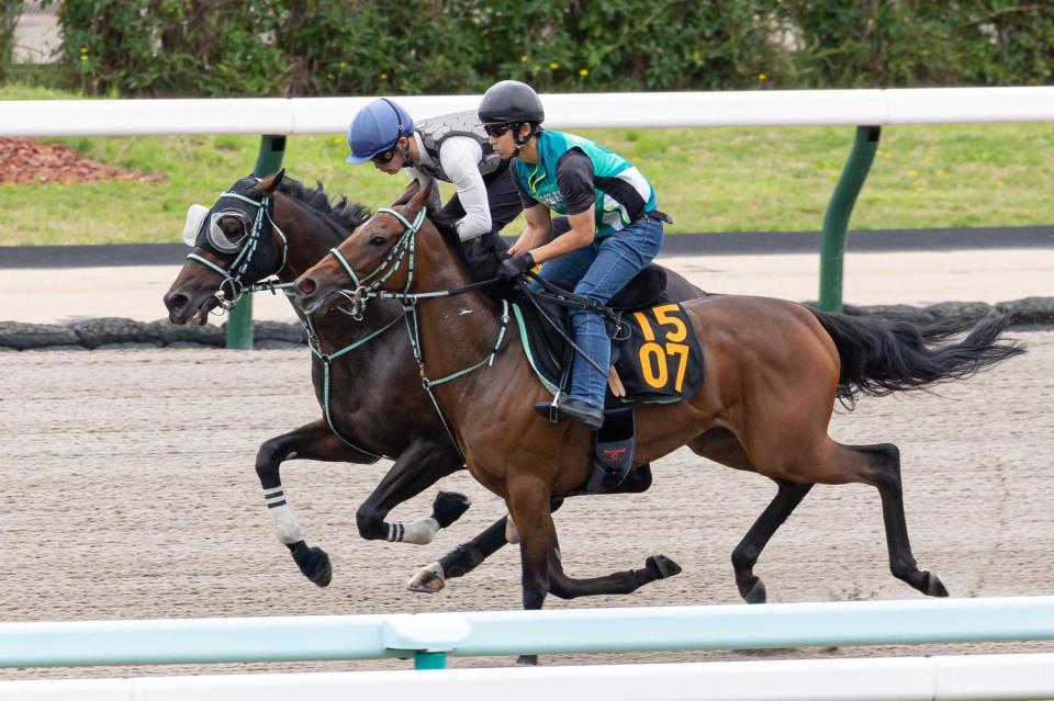 　札幌ダートで永野を背に併せ馬を行い力強い動きを見せたナチュラルハイ（奥）