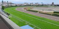 　角田河が運転した車のタイヤ痕が残る函館競馬場の芝コース