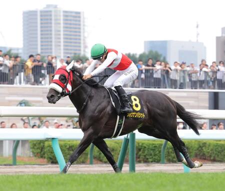 　他馬を引き離し、札幌日経オープンを制したショウナンバシット＝札幌競馬場（撮影・西岡正）