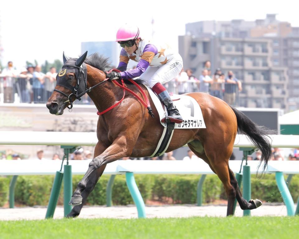 　新馬戦を圧勝したカワキタマナレア（撮影・西岡正）