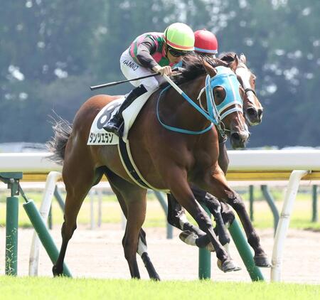 　ウィルサヴァイブをかわすダンツエラン（手前）