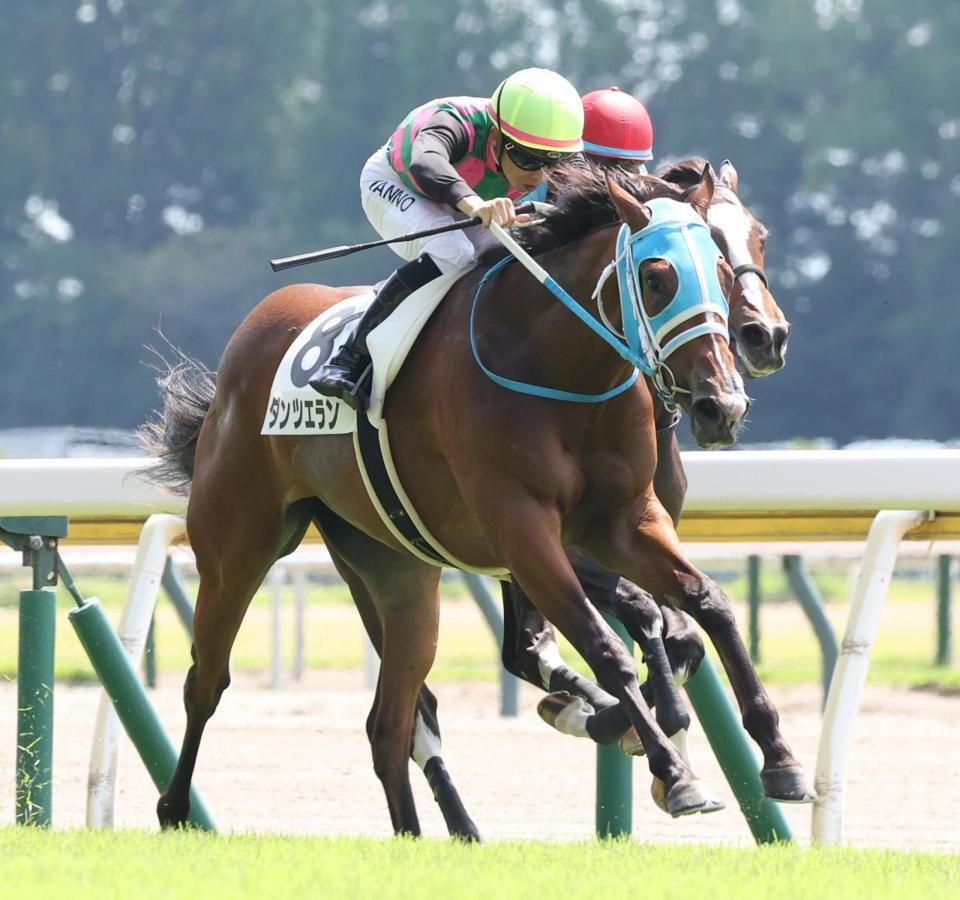 　ウィルサヴァイブをかわすダンツエラン（手前）