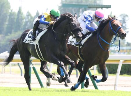 デビュー勝ちを決めたジェゼロ（左）＝新潟競馬場