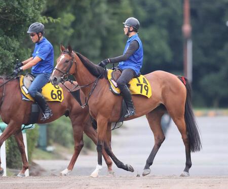 　牡馬相手に重賞初タイトルを狙うファユエン