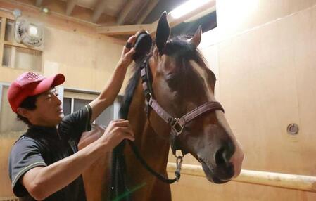 【関屋記念】トゥードジボン　いざ夏のマイル王へ　現在８ポイントで２位、勝って初タイトルに王手かける