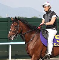 　２度目の重賞制覇を狙うオニャンコポン