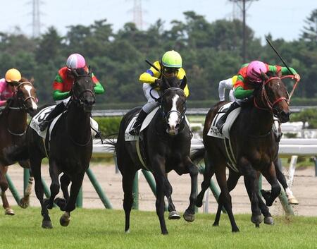 　新馬戦を制したマスカレードボール（中央）＝撮影・佐々木彰尚