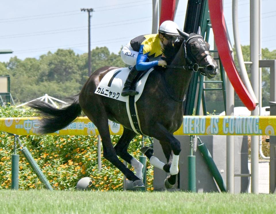 　デビュー戦を勝利で飾った川田騎乗のカムニャック