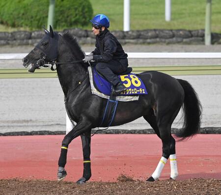 【札幌記念】ステラヴェローチェ　真価発揮だ！３年ぶり重賞Ｖで目指せ完全復活「小回りコースは合う」