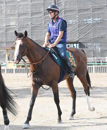 【新馬戦】チェンジオブハート　年長馬と互角の動き　田中博師「血統馬らしい動きの質の良さ感じる」