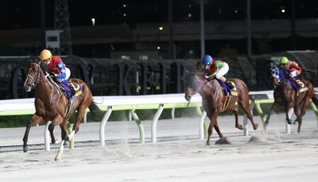 黒潮盃を制したダテノショウグン（左）＝大井競馬場